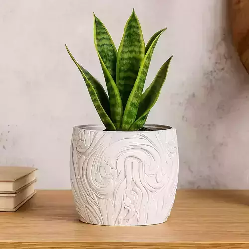 Art Nouveau Plant Pot with Drainage No Supports Elegant Planter