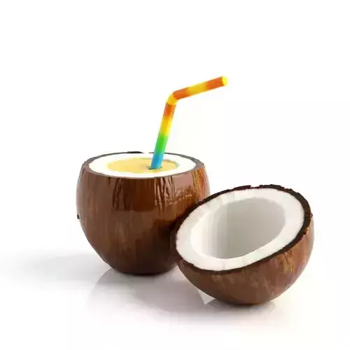 Coconut Drink with Colorful Straw 3D Model Low-poly 3D model