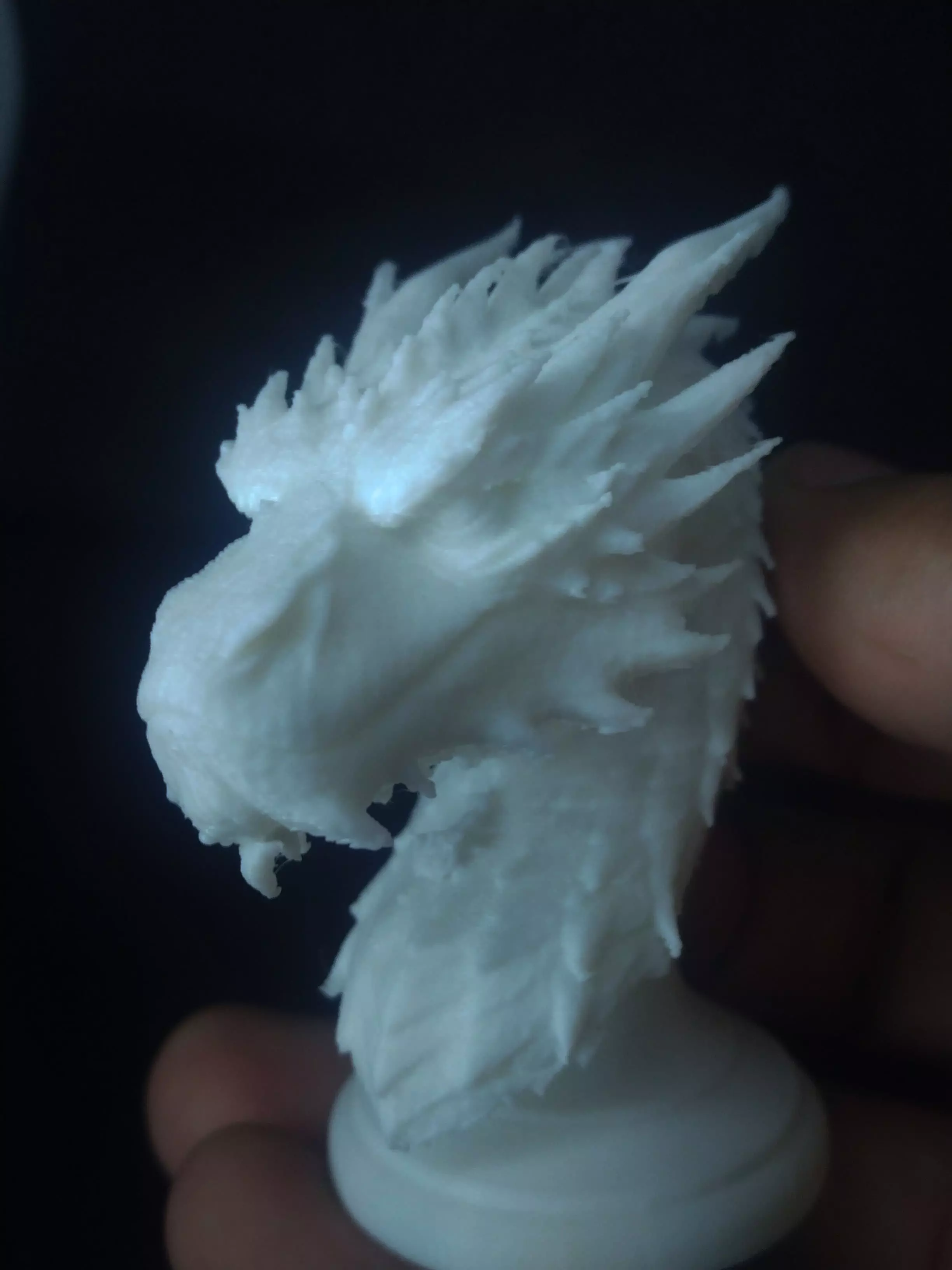 Smaug Bust Free 3D print model_8