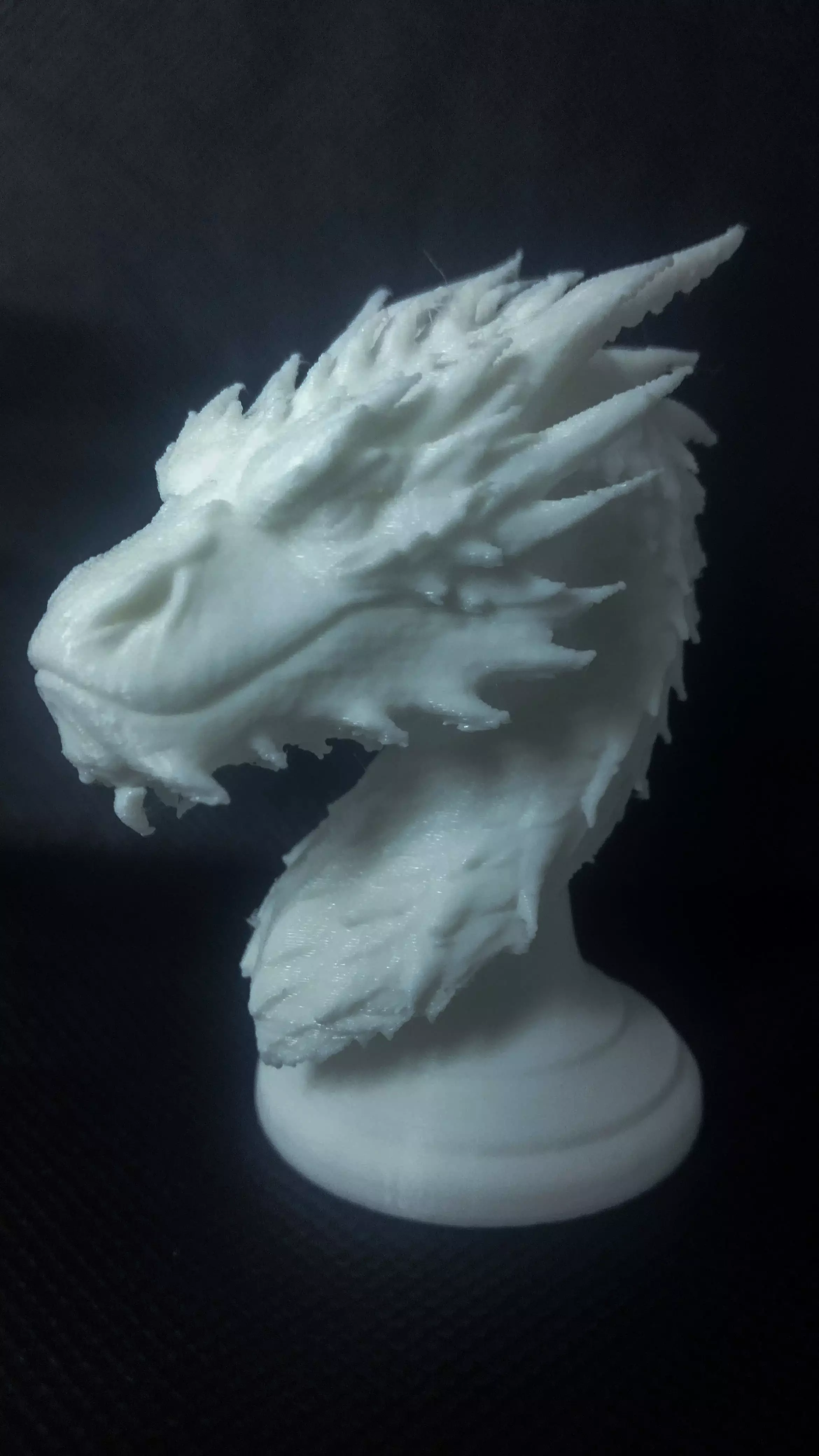 Smaug Bust Free 3D print model_7