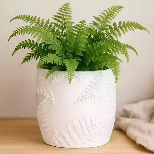 Fern Plant Pot with Drainage No Supports 3D print model