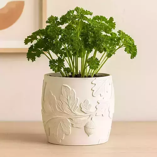 Oak Leaf Plant Pot with Drainage No Supports 3D print model
