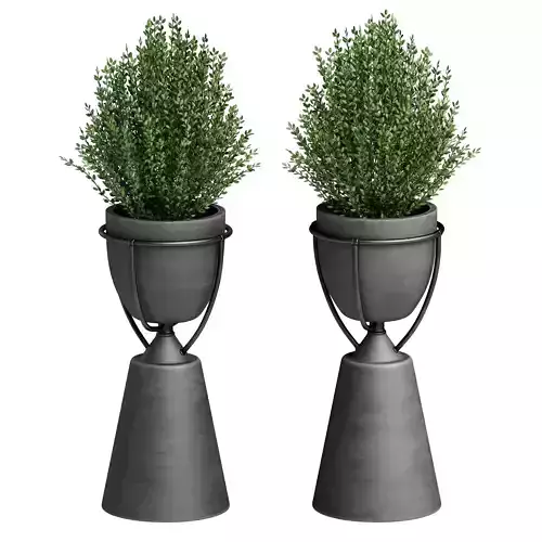 Floor vase with plant Kashpo