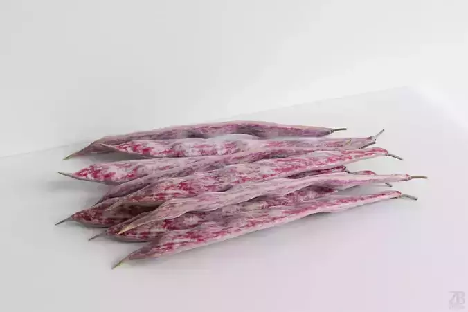 Bean Pod 3D model
