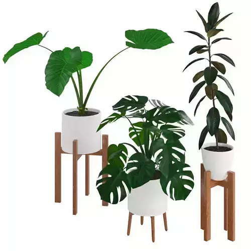 Indoor Decorative Plant Set