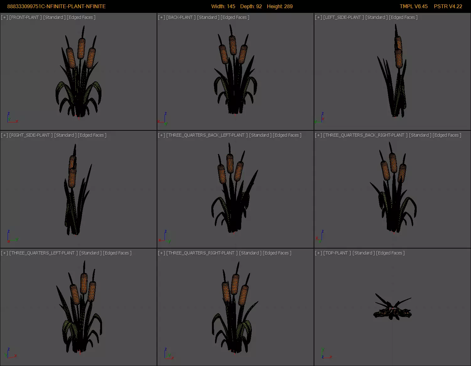 Plant Low-poly 3D model_3