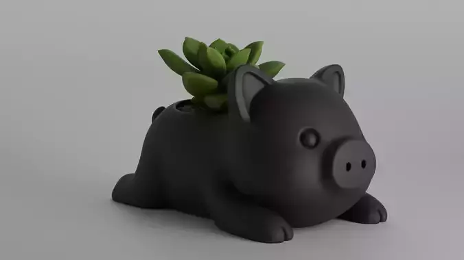 Cute Pig Planter for Succulents