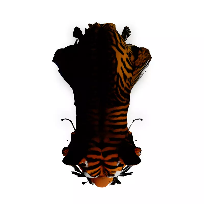Realistic Tiger Head 3D Model Low-poly 3D model_7