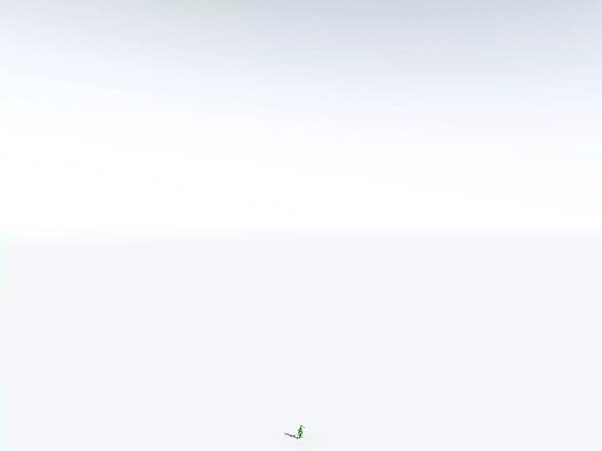 EVERYPlant Cordaites Principalis LowPoly Low-poly 3D model_30