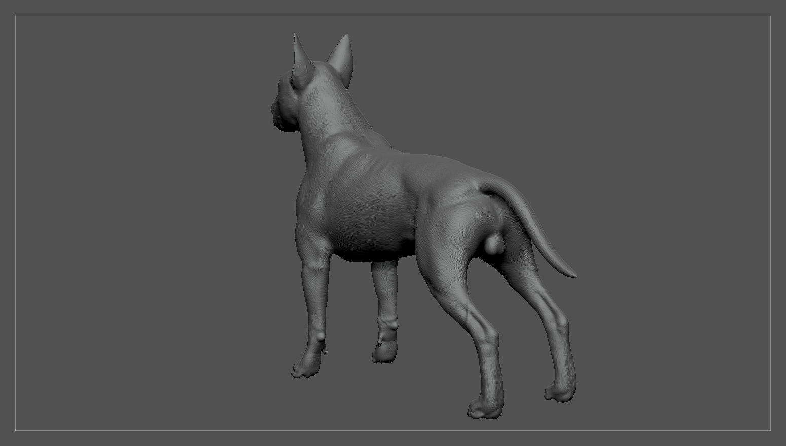 Bull Terrier Real-Time Low-poly 3D model_35