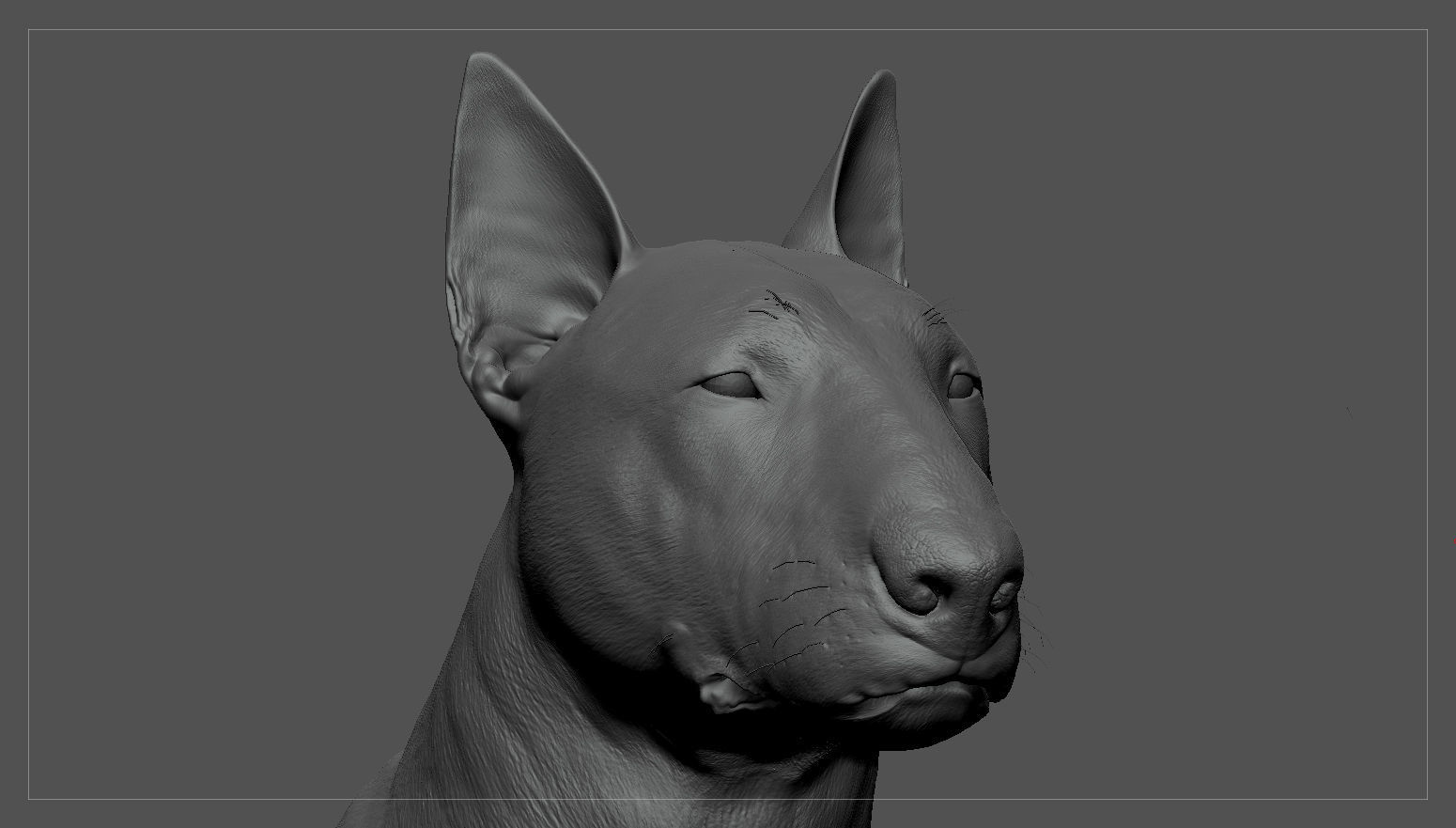 Bull Terrier Real-Time Low-poly 3D model_36