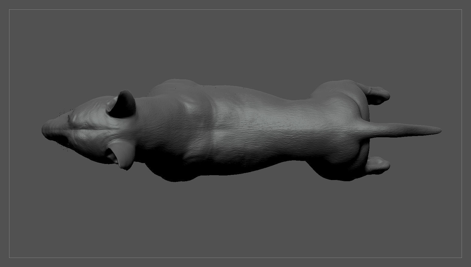 Bull Terrier Real-Time Low-poly 3D model_34