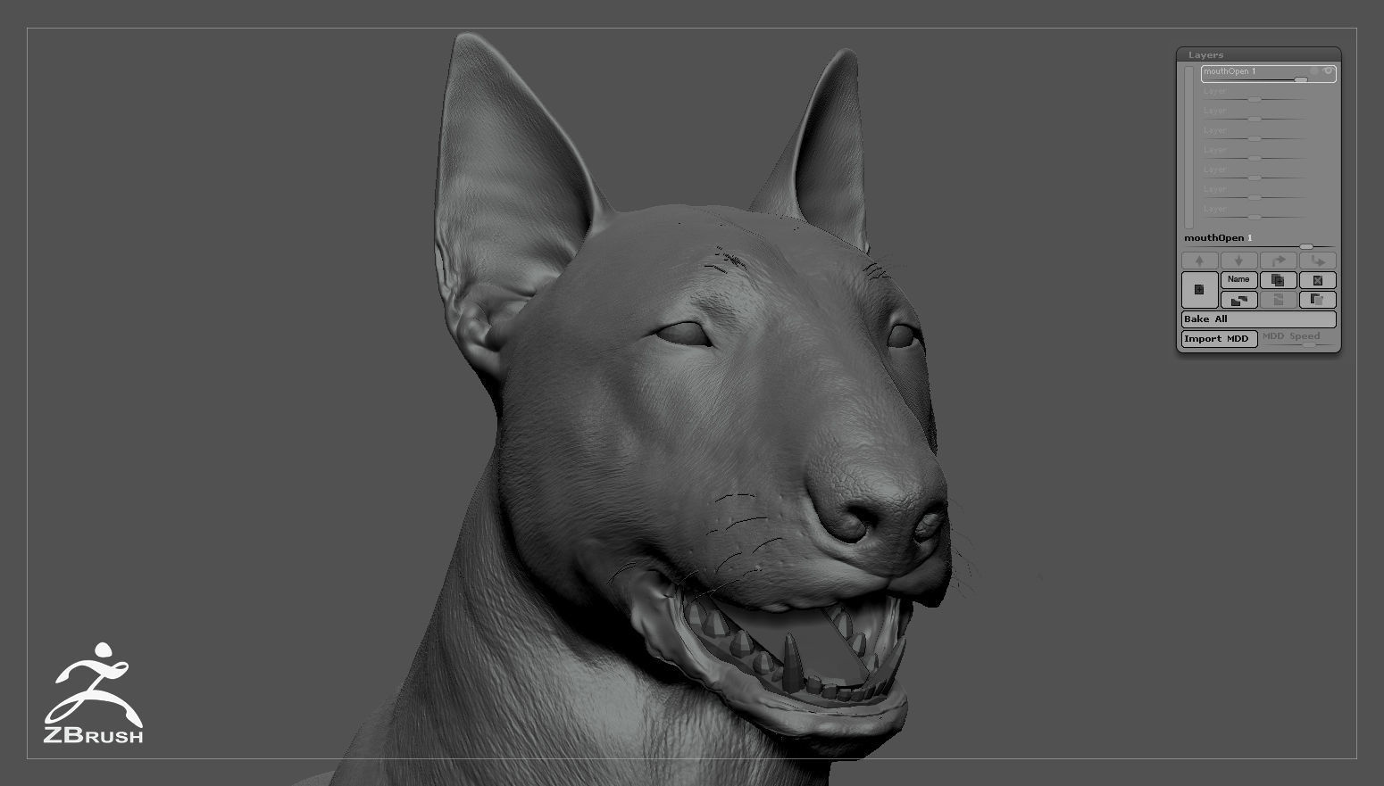 Bull Terrier Real-Time Low-poly 3D model_37
