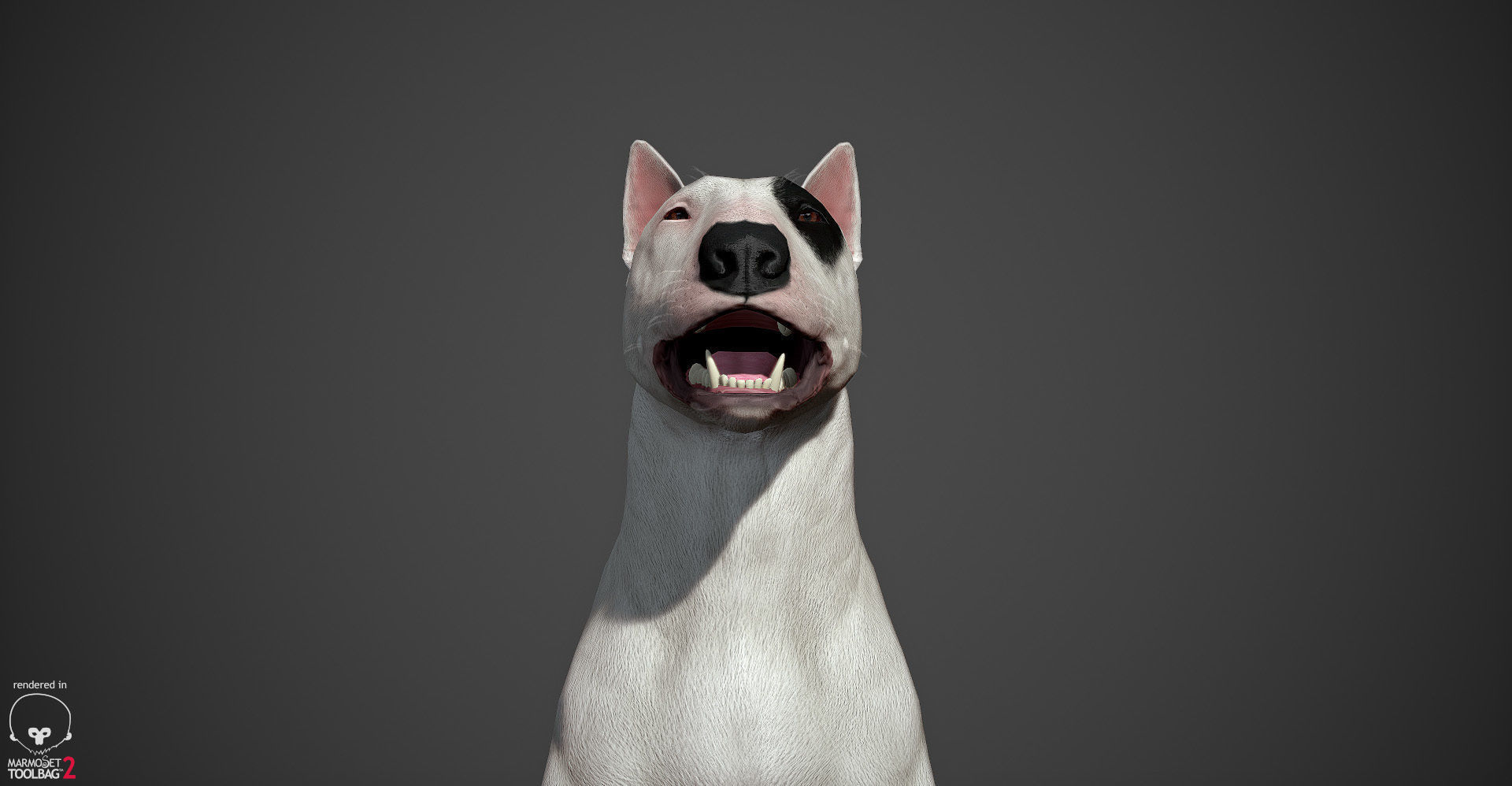 Bull Terrier Real-Time Low-poly 3D model_18