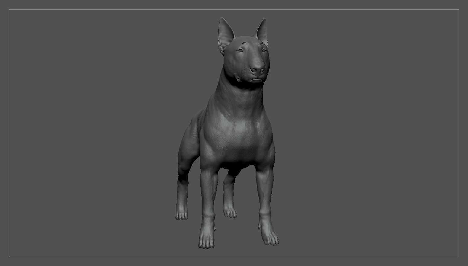 Bull Terrier Real-Time Low-poly 3D model_32