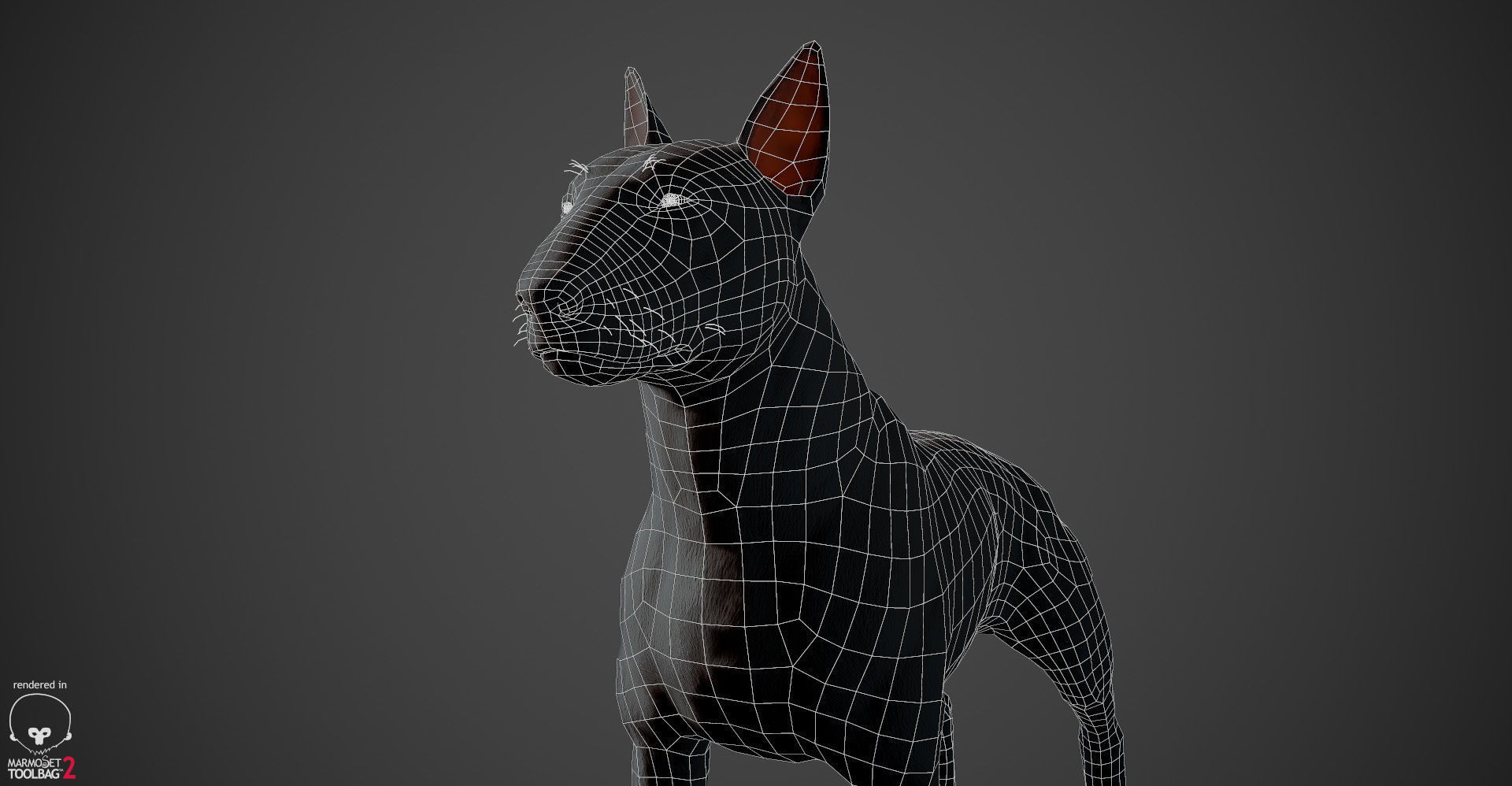 Bull Terrier Real-Time Low-poly 3D model_30