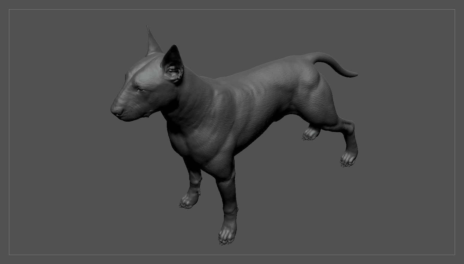 Bull Terrier Real-Time Low-poly 3D model_33