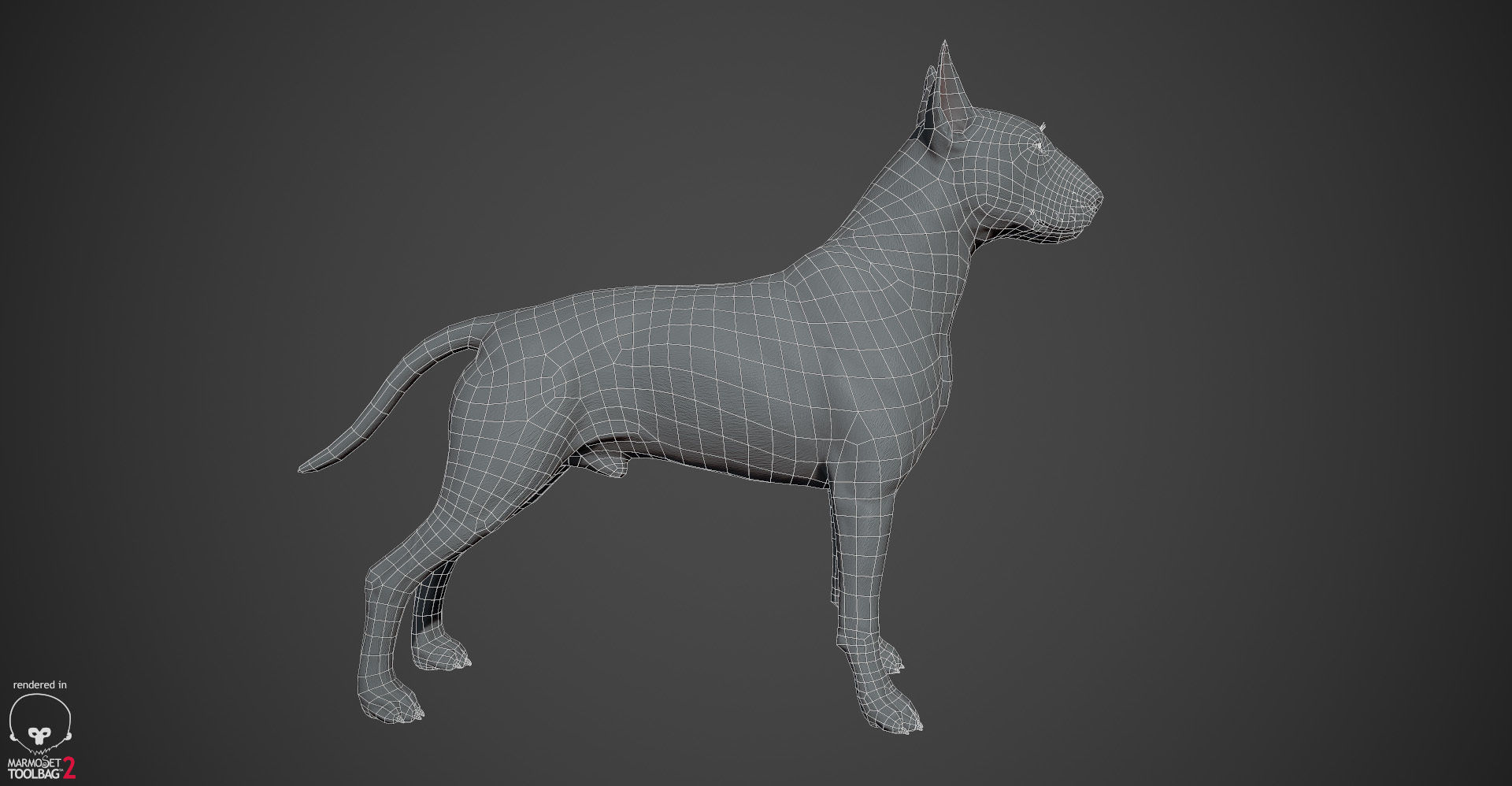 Bull Terrier Real-Time Low-poly 3D model_28