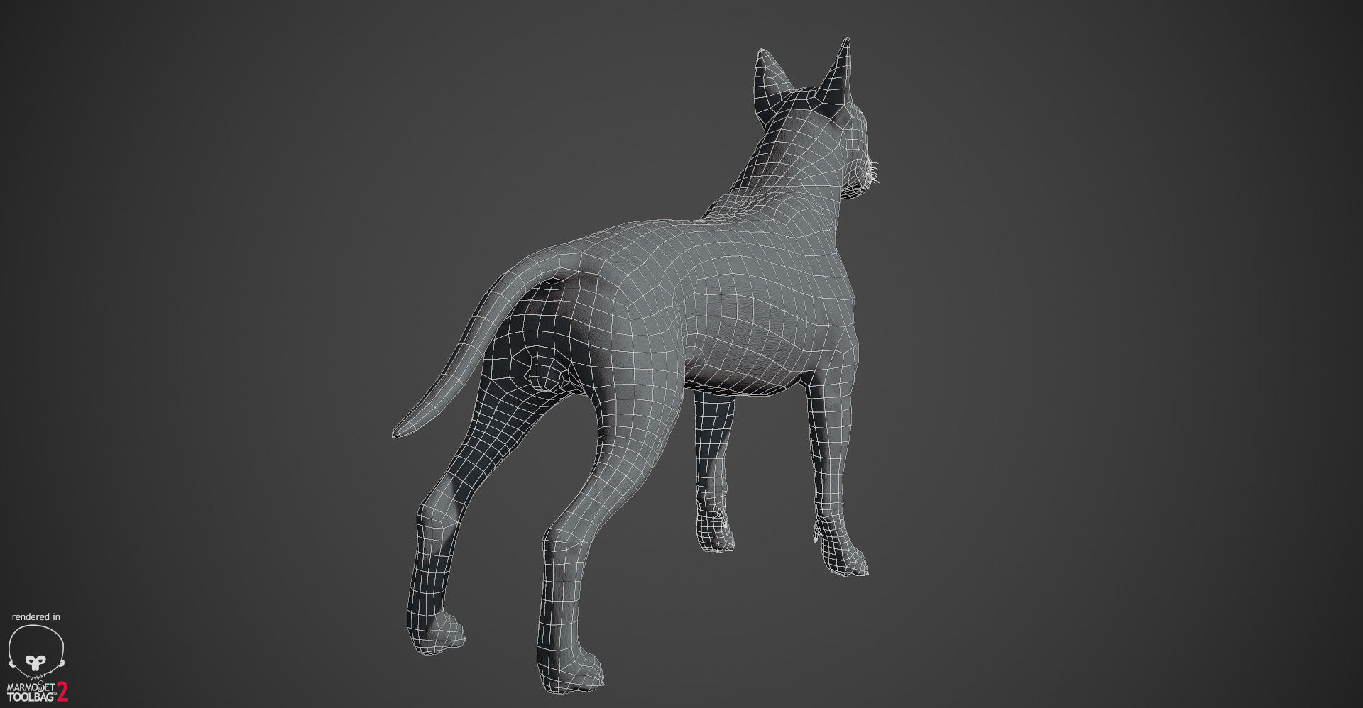 Bull Terrier Real-Time Low-poly 3D model_29