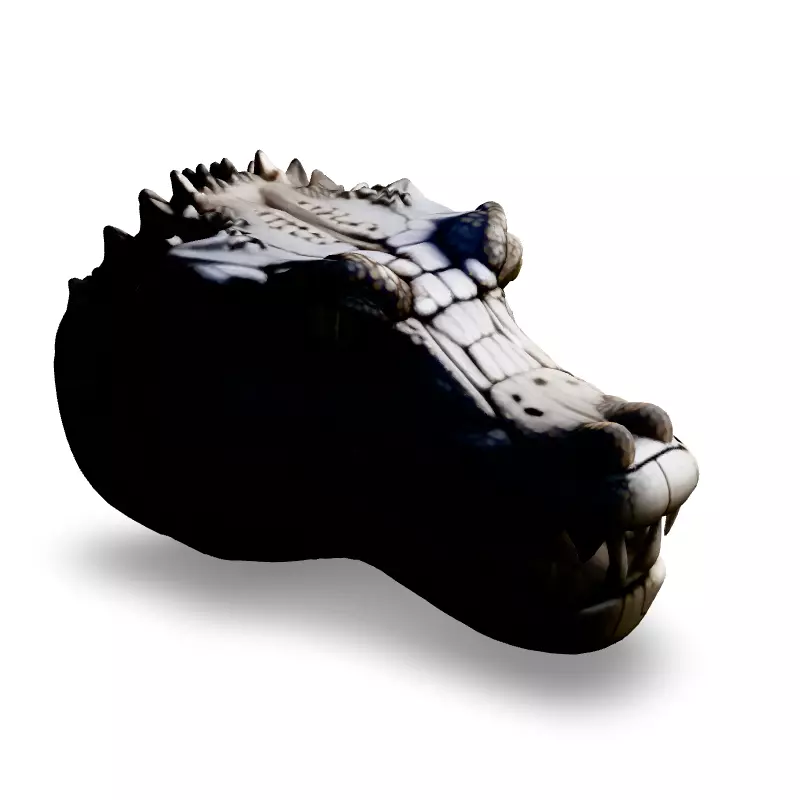 Realistic Crocodile Head 3D Model Low-poly 3D model_2