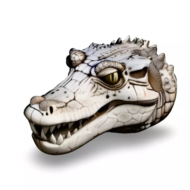 Realistic Crocodile Head 3D Model Low-poly 3D model_1