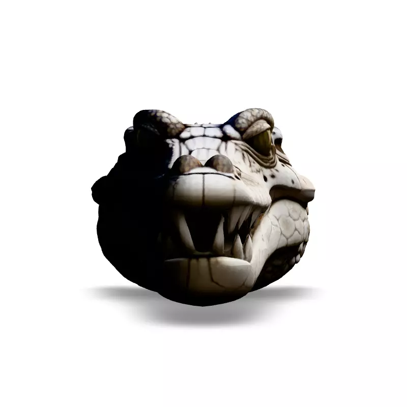 Realistic Crocodile Head 3D Model Low-poly 3D model_3