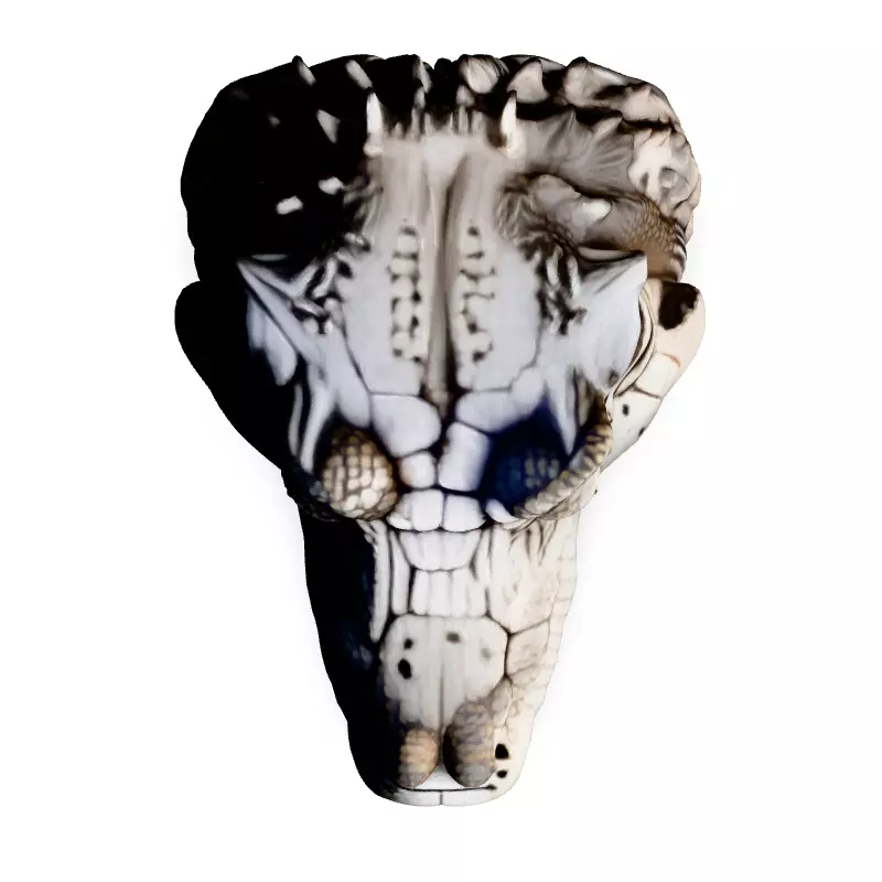 Realistic Crocodile Head 3D Model Low-poly 3D model_7