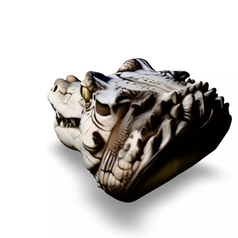 Realistic Crocodile Head 3D Model Low-poly 3D model_4