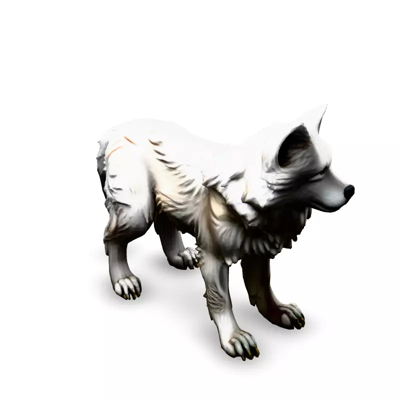 Realistic White Wolf 3D Model Low-poly 3D model_2