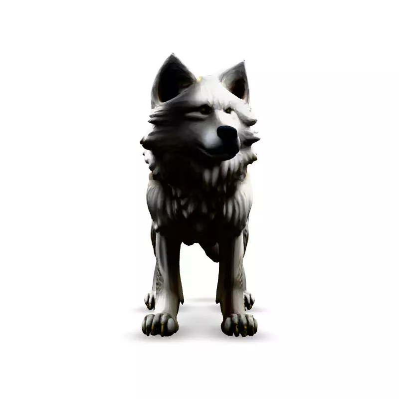 Realistic White Wolf 3D Model Low-poly 3D model_3