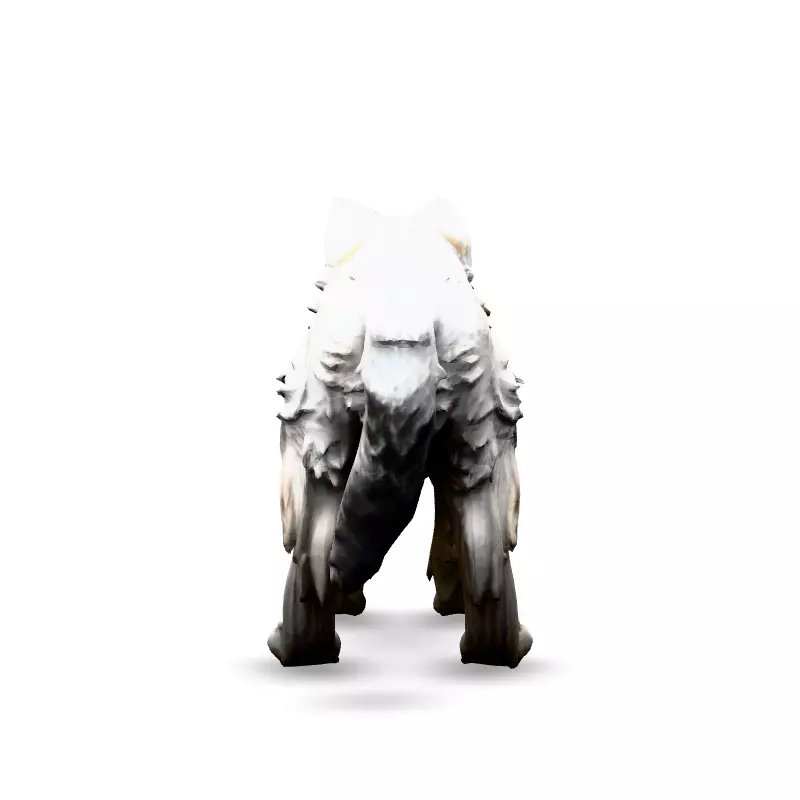 Realistic White Wolf 3D Model Low-poly 3D model_6