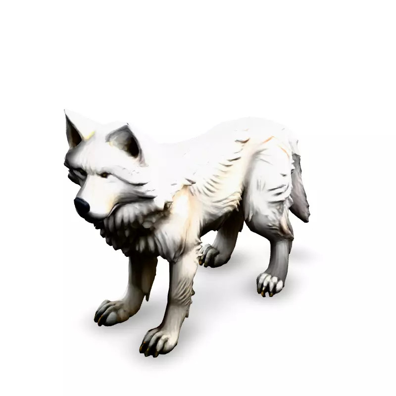 Realistic White Wolf 3D Model Low-poly 3D model_1