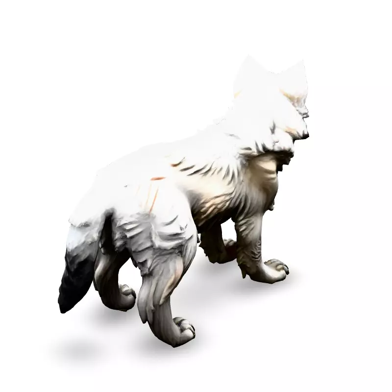 Realistic White Wolf 3D Model Low-poly 3D model_5