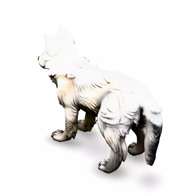 Realistic White Wolf 3D Model Low-poly 3D model_4