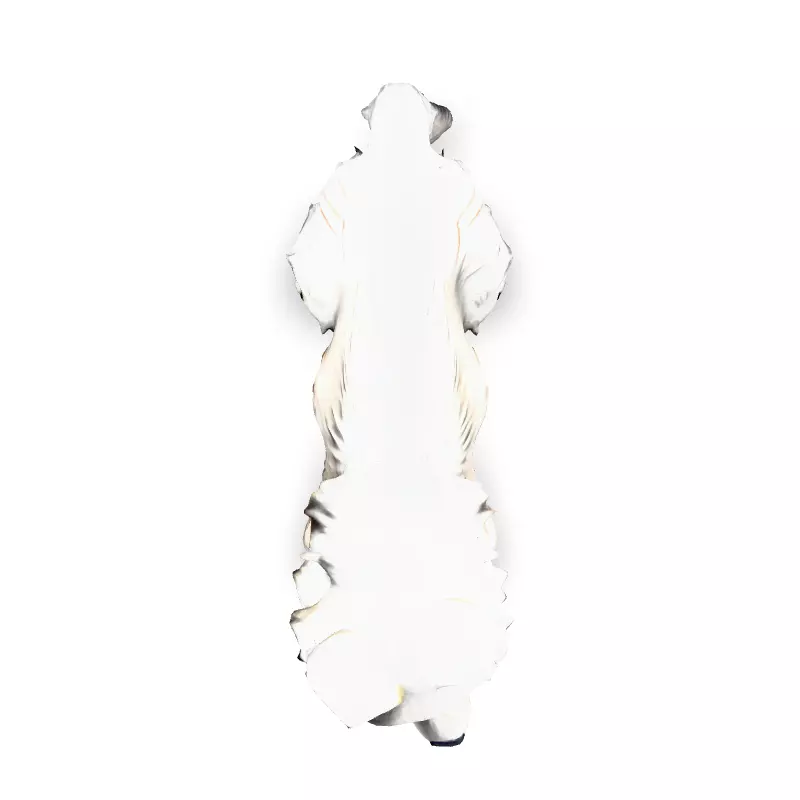 Realistic White Wolf 3D Model Low-poly 3D model_7