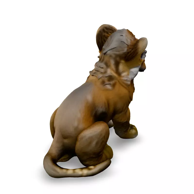 Realistic Adorable Lion Cub 3D Model Low-poly 3D model_5