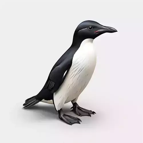 Realistic Razorbill 3D Model Low-poly 3D model Realistic Razorbill 3D Model Low-poly 3D model