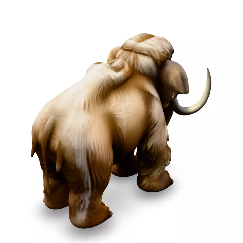 Realistic Woolly Mammoth 3D Model Low-poly 3D model_5