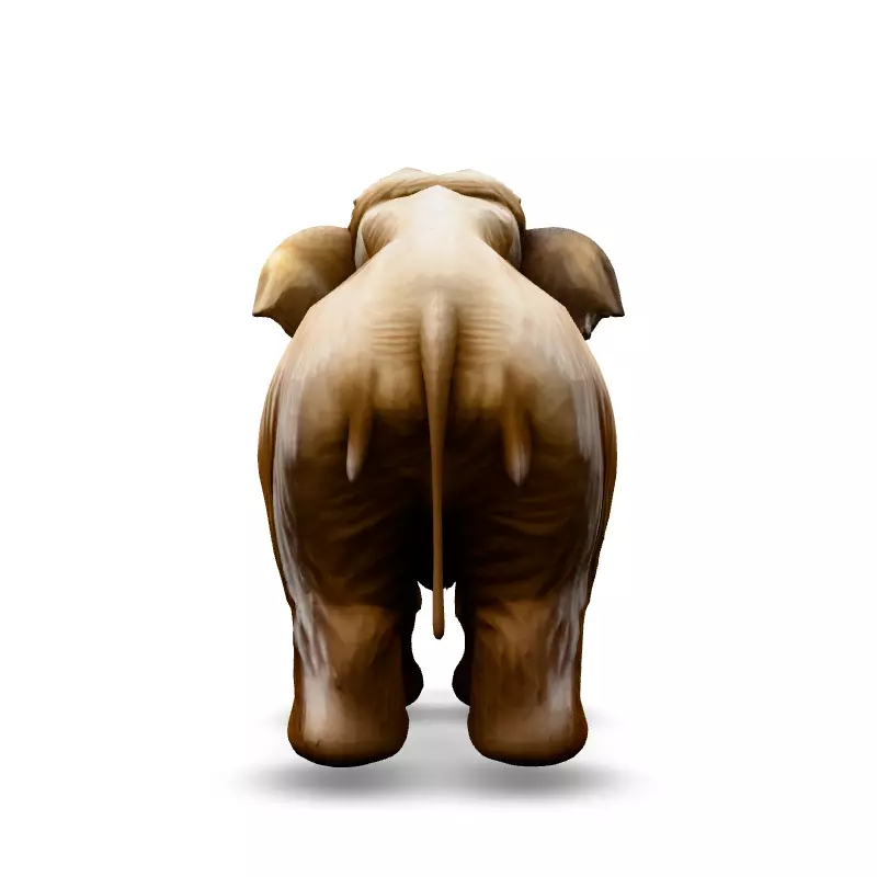 Realistic Woolly Mammoth 3D Model Low-poly 3D model_6