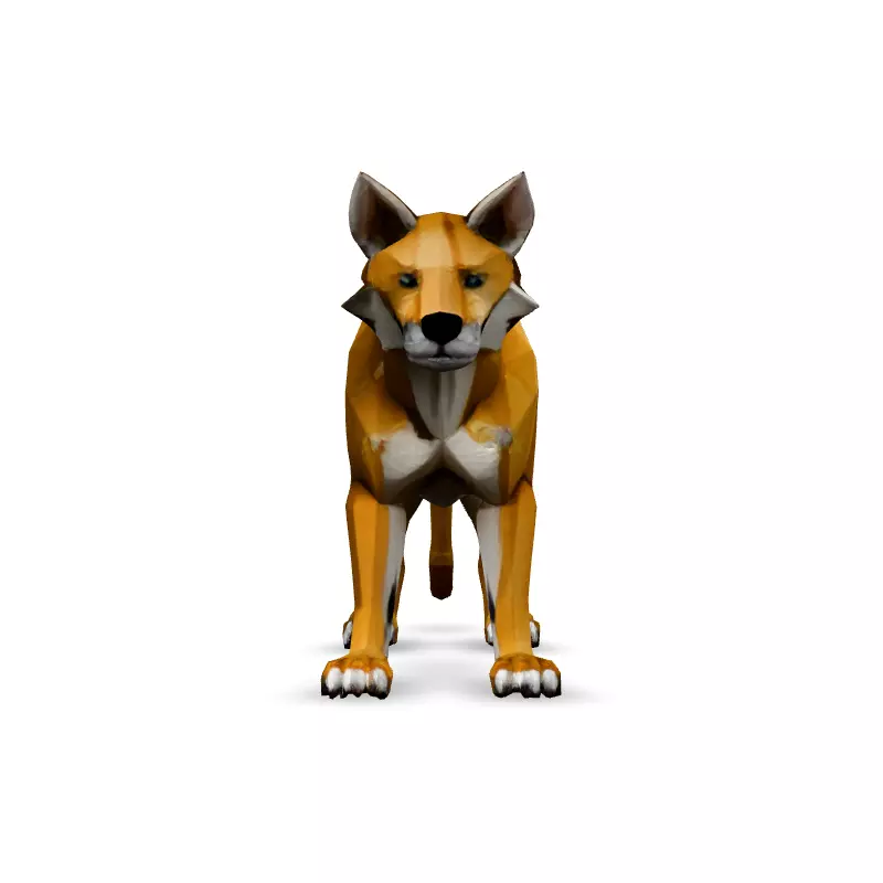 Low Poly Dingo Wild Dog Model Low-poly 3D model_3