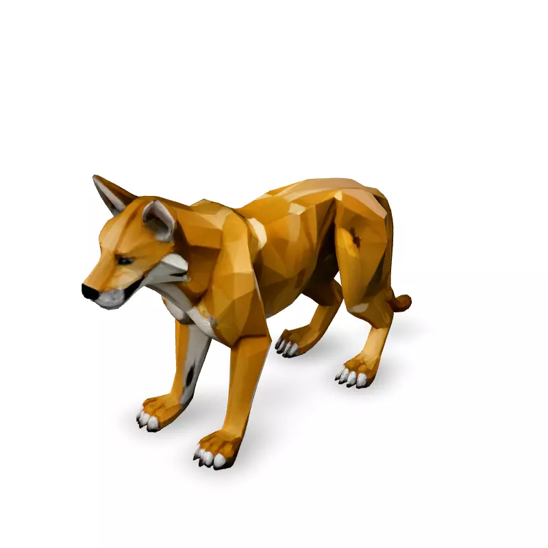 Low Poly Dingo Wild Dog Model Low-poly 3D model_1