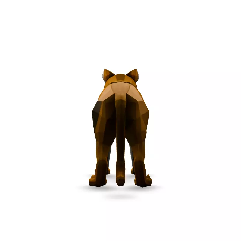 Low Poly Dingo Wild Dog Model Low-poly 3D model_6
