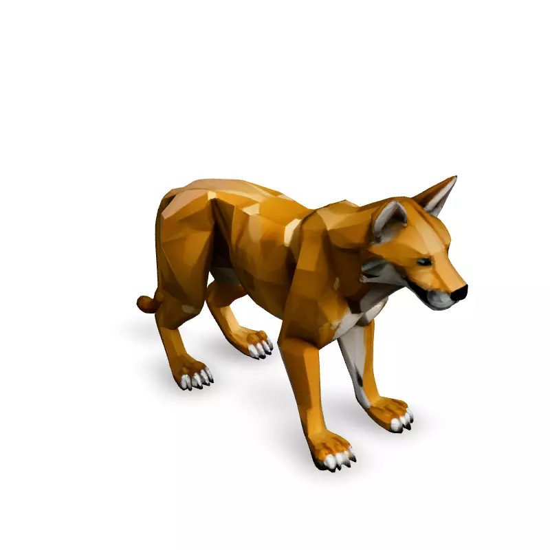 Low Poly Dingo Wild Dog Model Low-poly 3D model_2