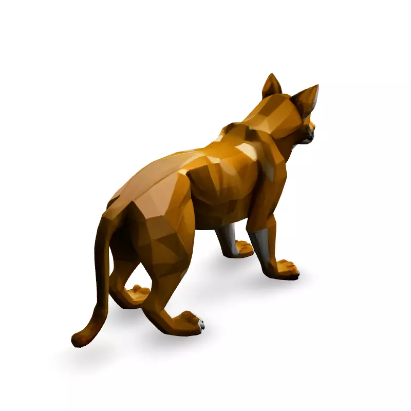Low Poly Dingo Wild Dog Model Low-poly 3D model_5