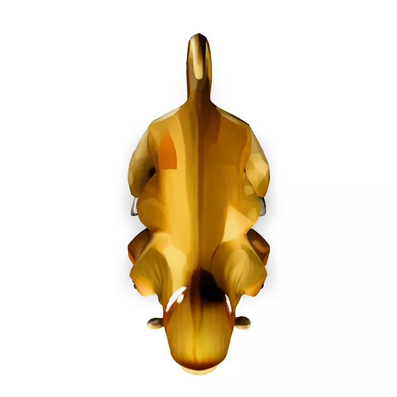 Low Poly Proboscis Monkey 3D Model Low-poly 3D model_7