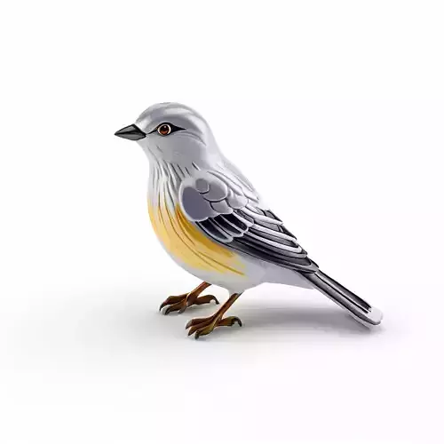 Realistic LowPoly Bird 3D Model