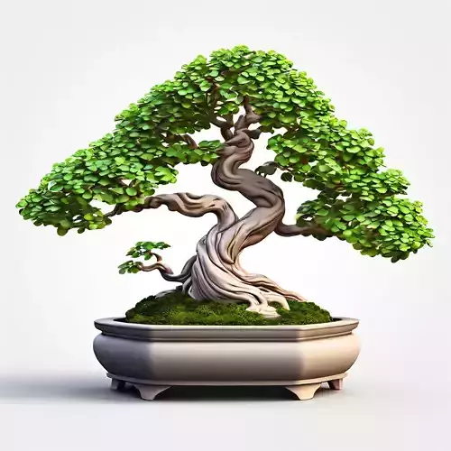 Realistic Bonsai Tree 3D Model