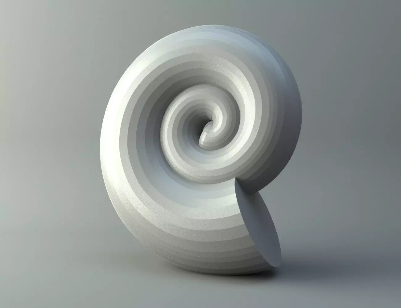 Shell of snail Planorbarius Free 3D print model