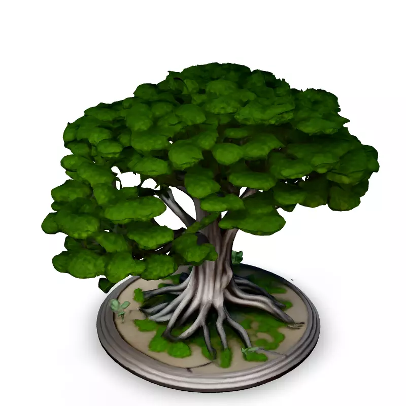 Stylized Bonsai Tree 3D Model Low-poly 3D model_4