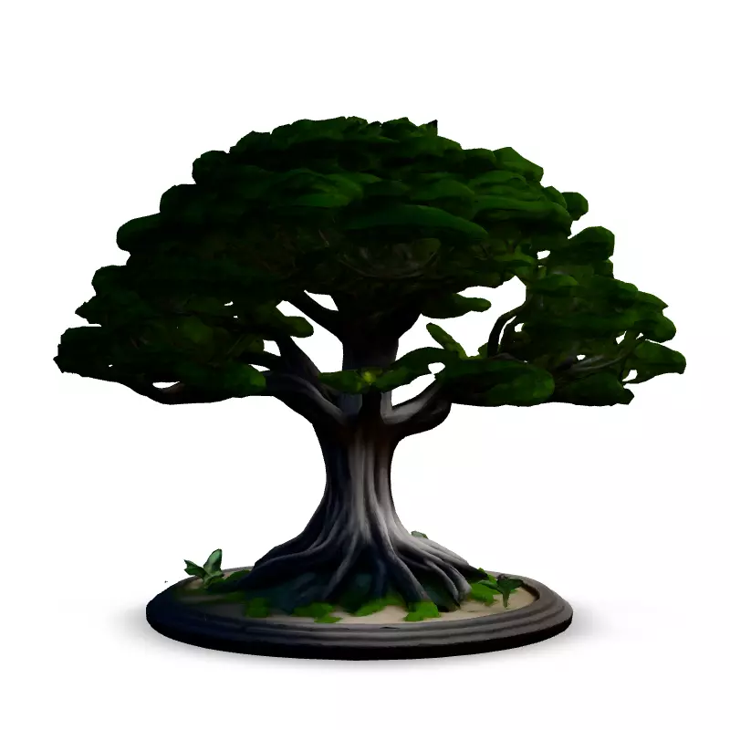 Stylized Bonsai Tree 3D Model Low-poly 3D model_3